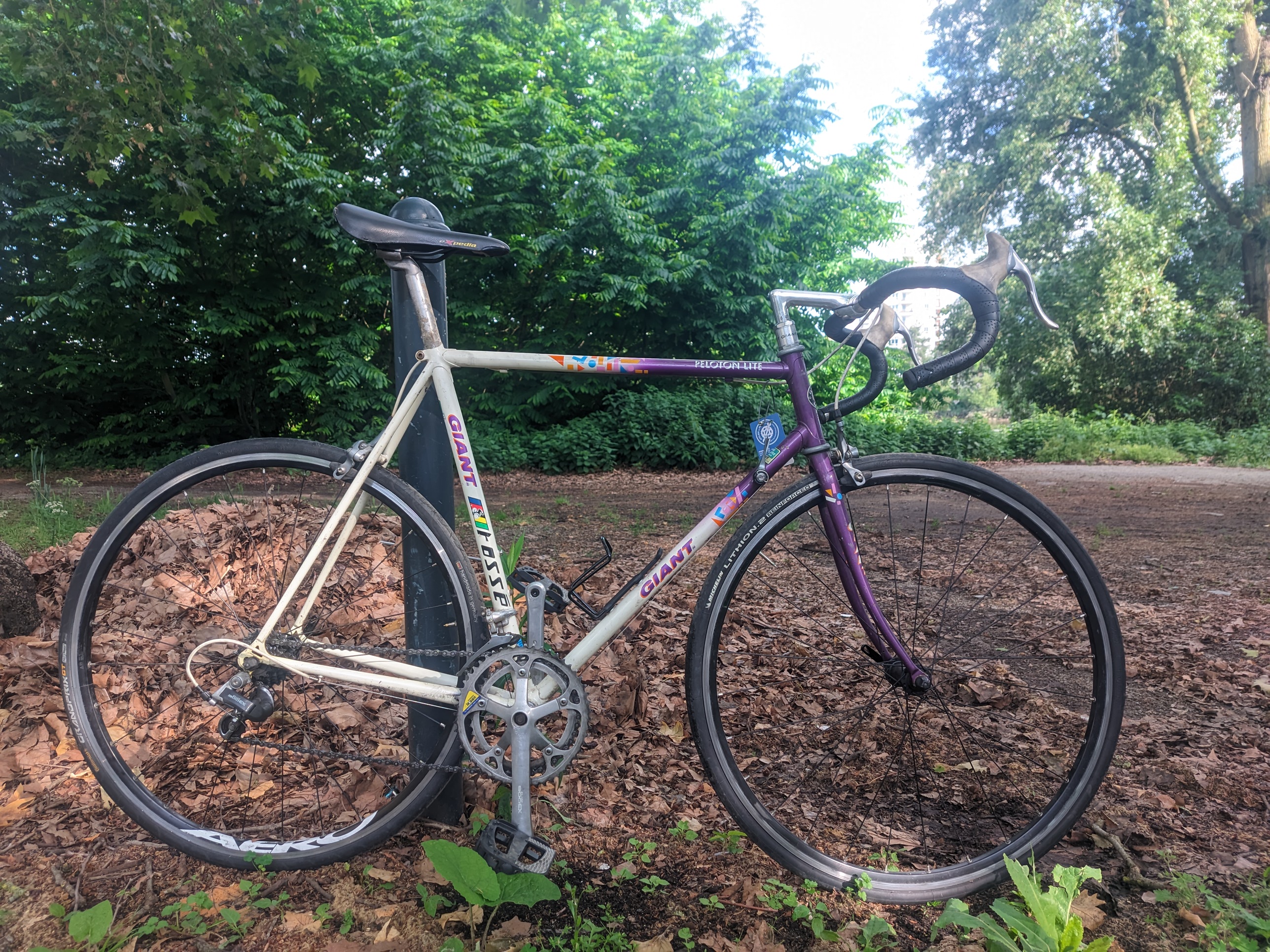 Giant peloton