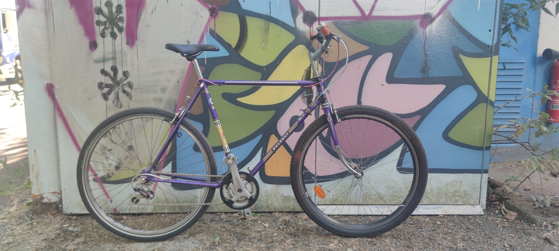 Peugeot violet et or de bogoss