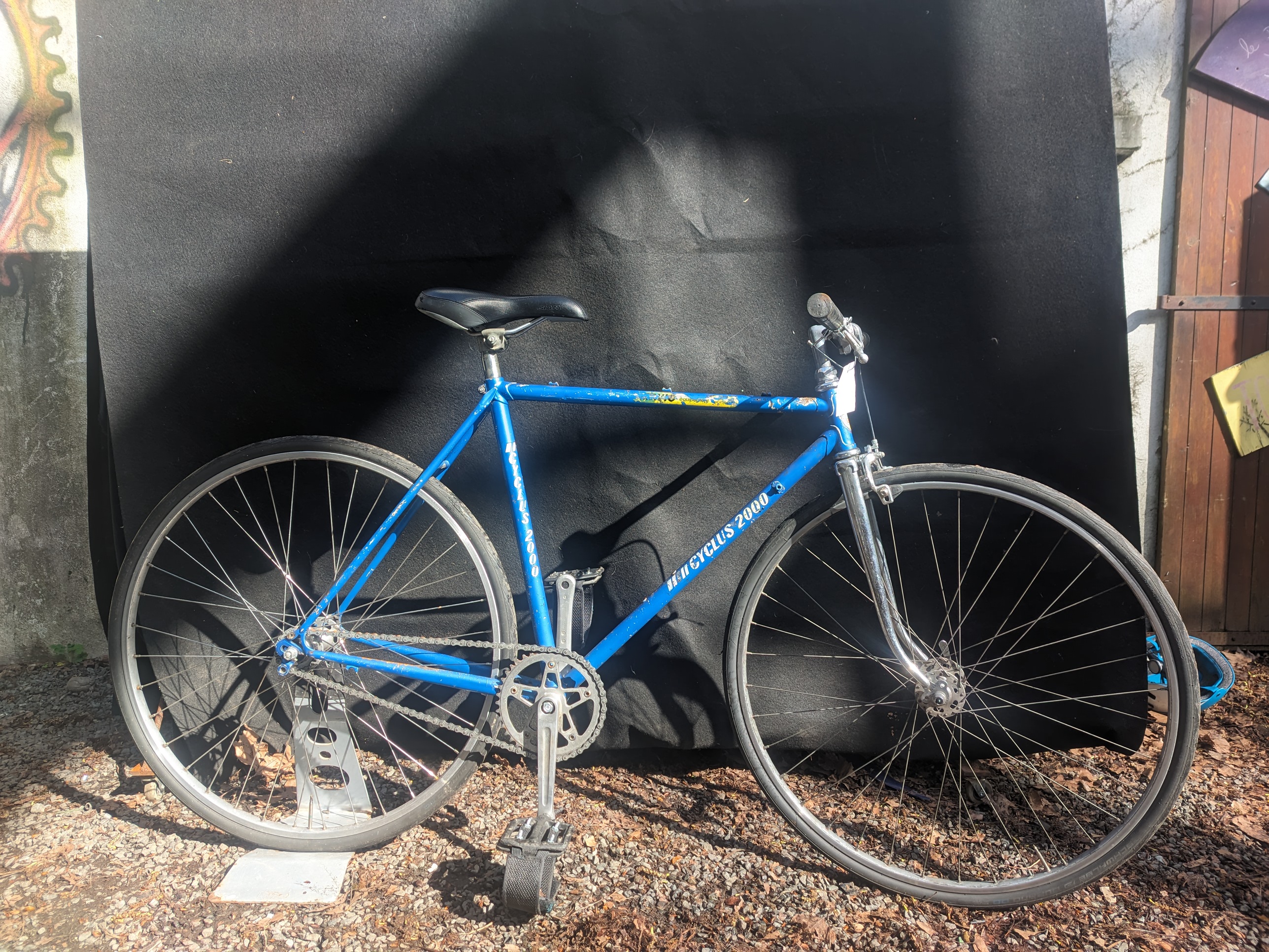 Cyclus 2000