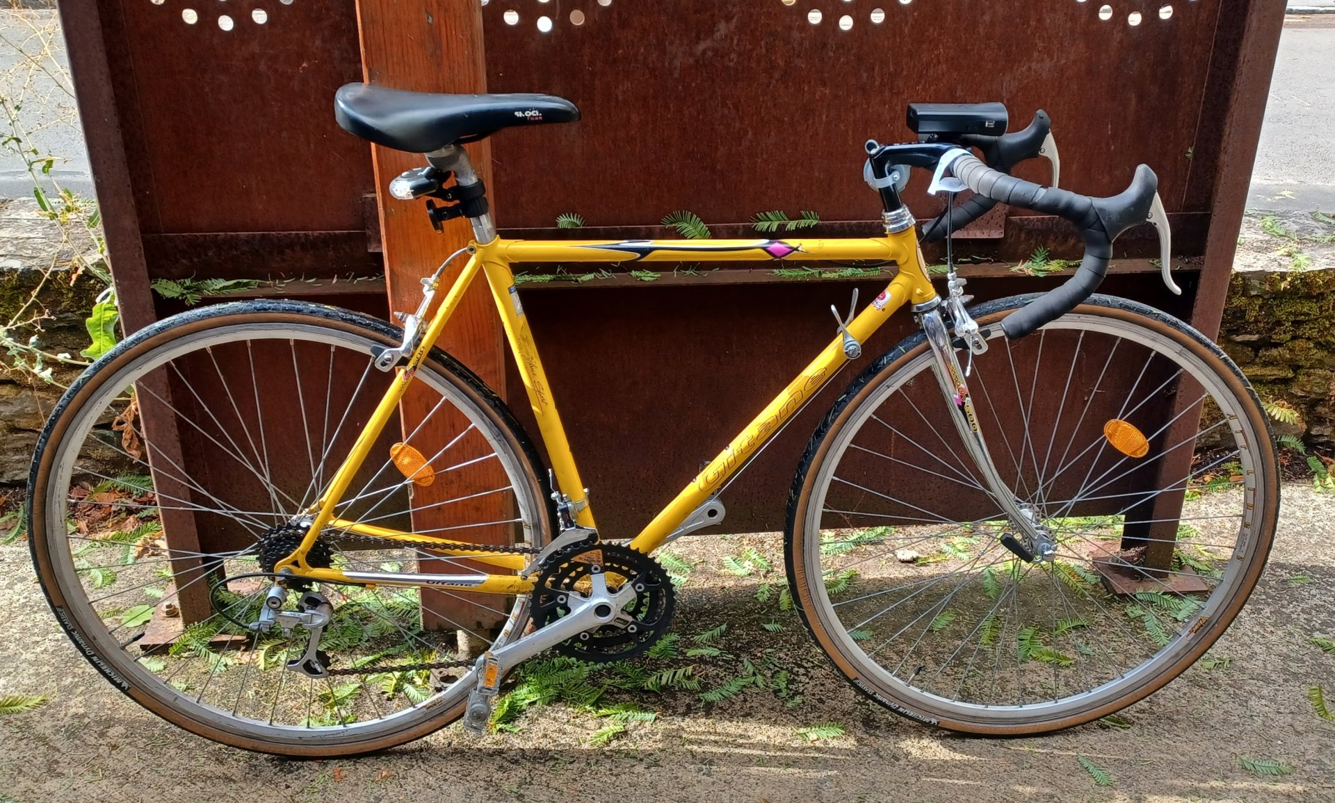 Vélo Gitane route - Petit mais sauvage !